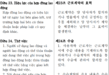 Tổng hợp các bộ luật song ngữ Việt – Hàn