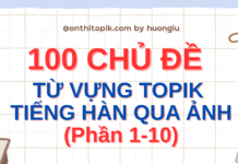Tổng hợp 100 chủ đề từ vựng tiếng Hàn qua ảnh từ TOPIK 1 đến TOPIK 6