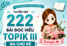 Tuyển tập 222 bài đọc hiểu TOPIK II đa chủ đề (dịch giải chi tiết)